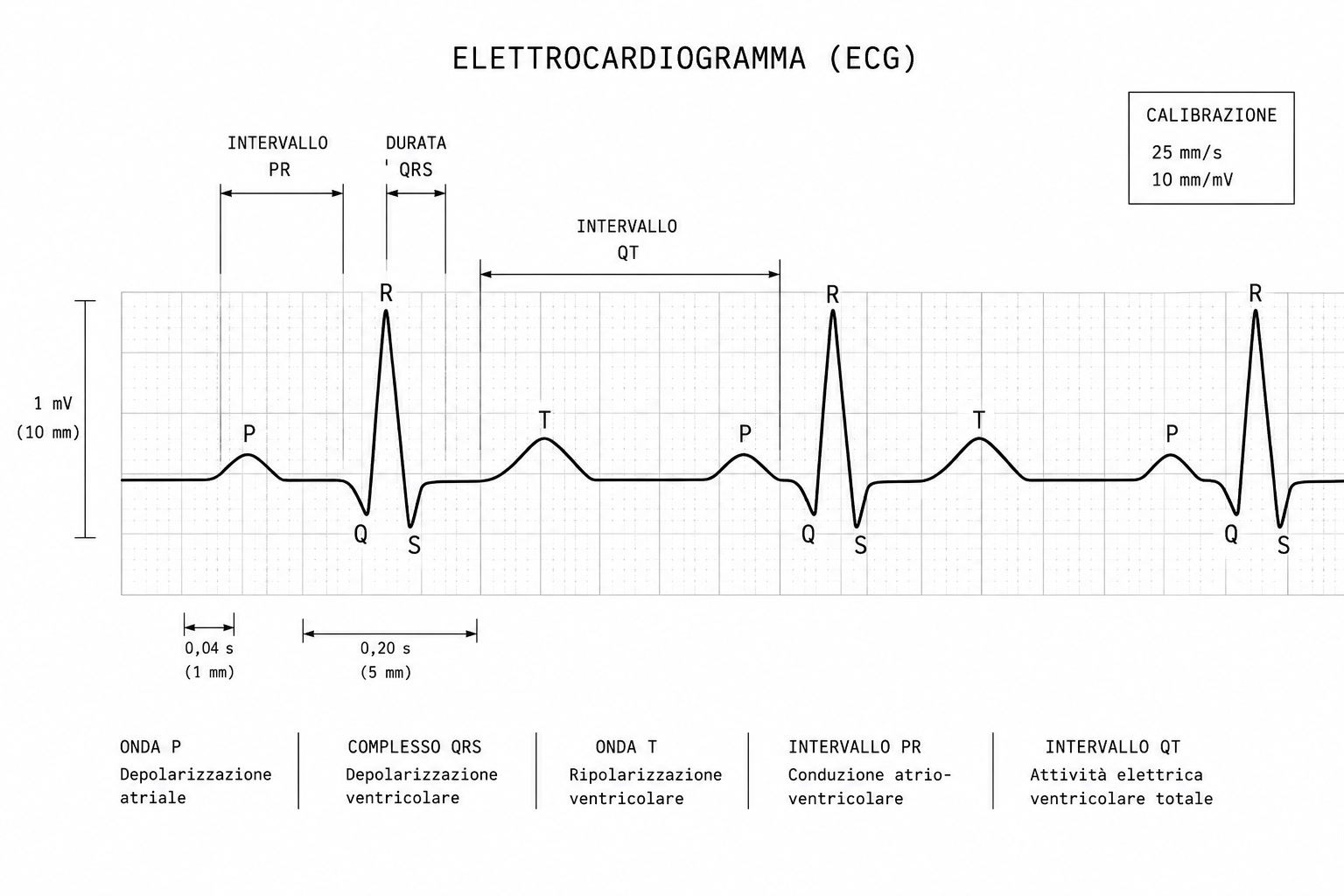 Elettrocardiogramma (ECG)