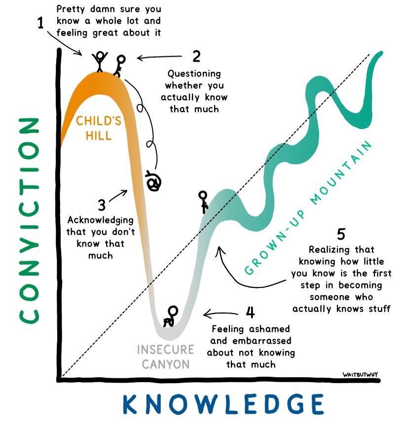 Effetto _Dunning Kruger_